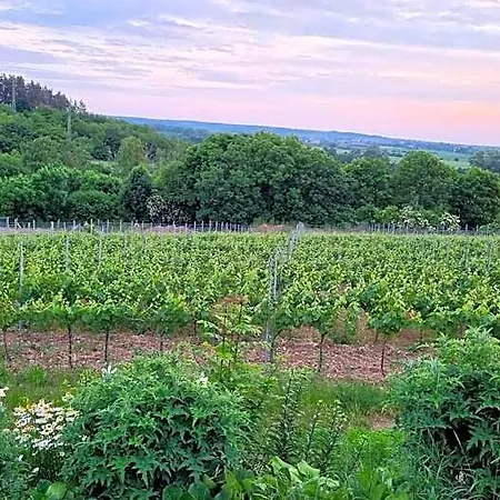 Hotel Vinarstvi 4*